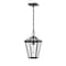 Z-Lite Talbot 1 Light Outdoor Chain Mount Ceiling Fixture, Oil Rubbed Bronze And Seedy 579CHM-ORB - alternate 2